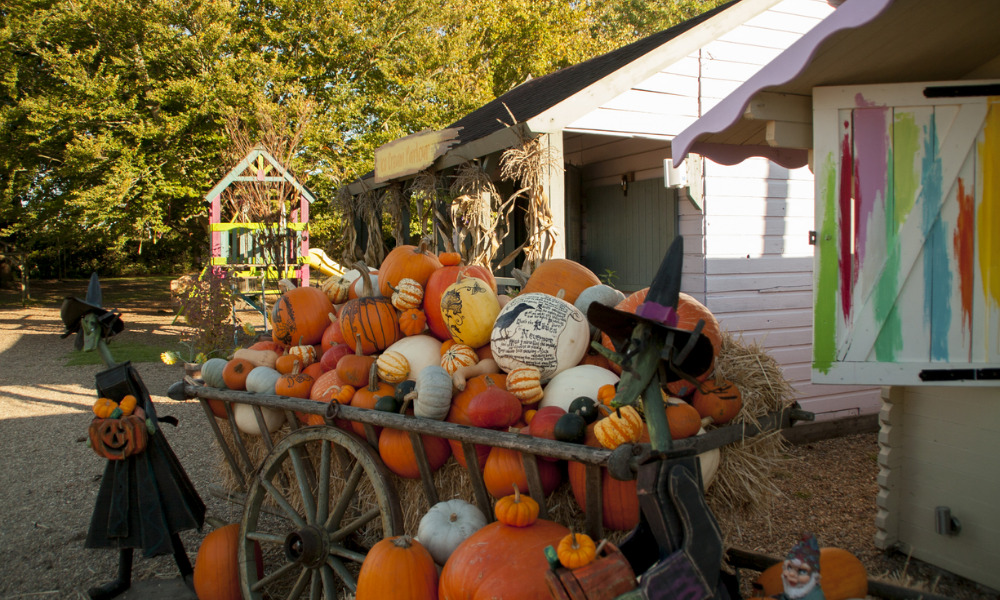 Crockford Bridge Farm