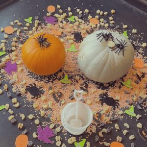 Nannytax NannyPax Autumn Sensory Tuff Tray