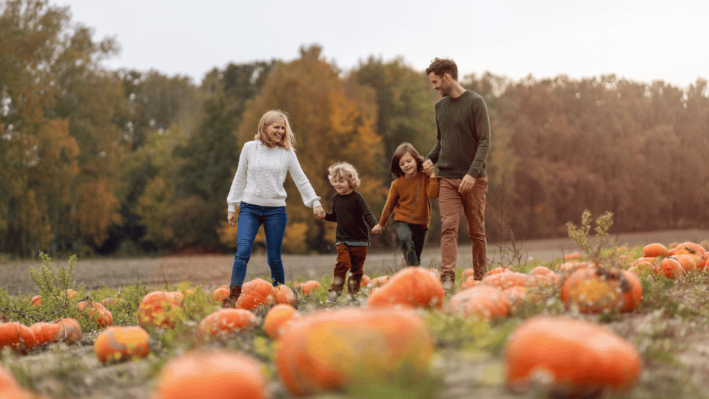 Nannytax | A Guide to Pumpkin Patches in the UK