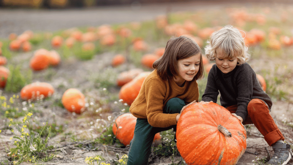 Nannytax | A Guide to Pumpkin Patches in the UK | South East