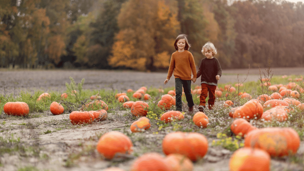 Nannytax | A Guide to Pumpkin Patches in the UK | Northern Ireland