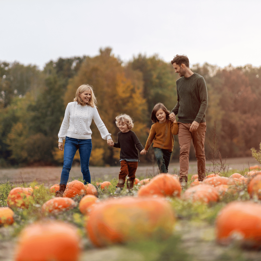 Nannytax | A Guide to Pumpkin Patches in the UK