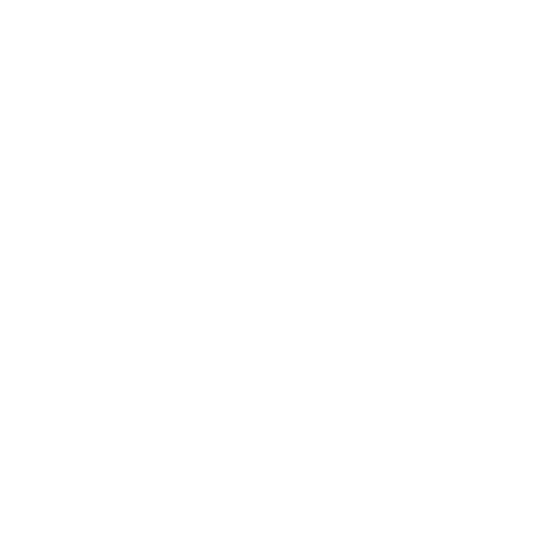 Nannytax Promise